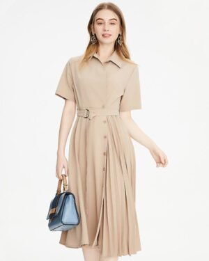 Contemporary Pleated Collar Dress